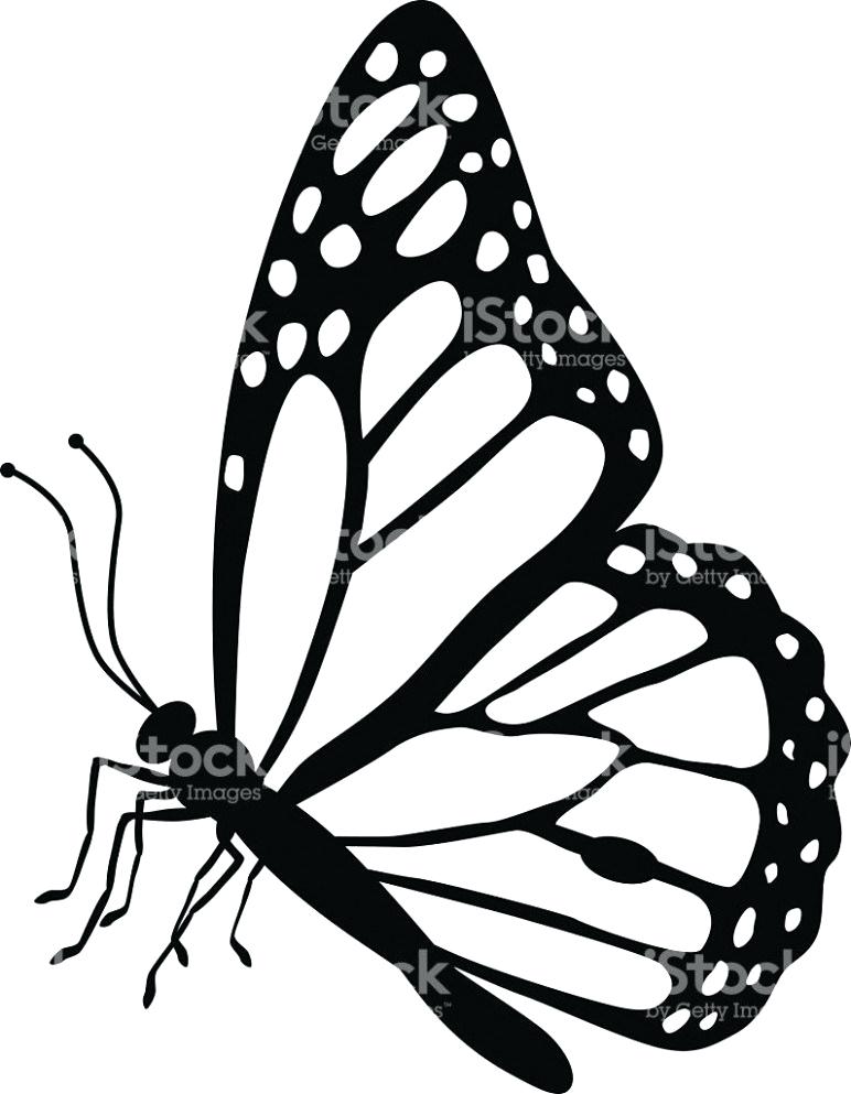 Butterfly Tattoo Drawing | Free download on ClipArtMag