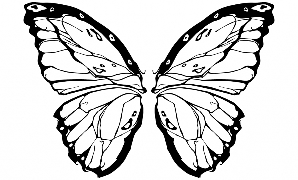 Butterfly Wings Drawing | Free download on ClipArtMag