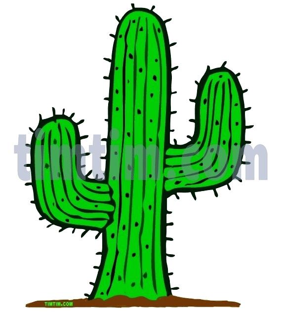 Cactus Flower Drawing | Free download on ClipArtMag