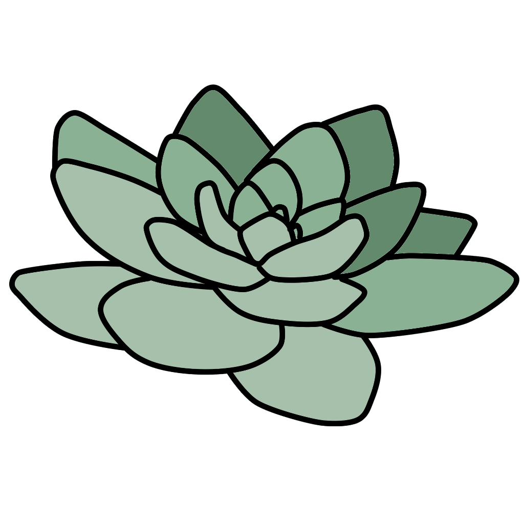 Cactus Flower Drawing | Free download on ClipArtMag