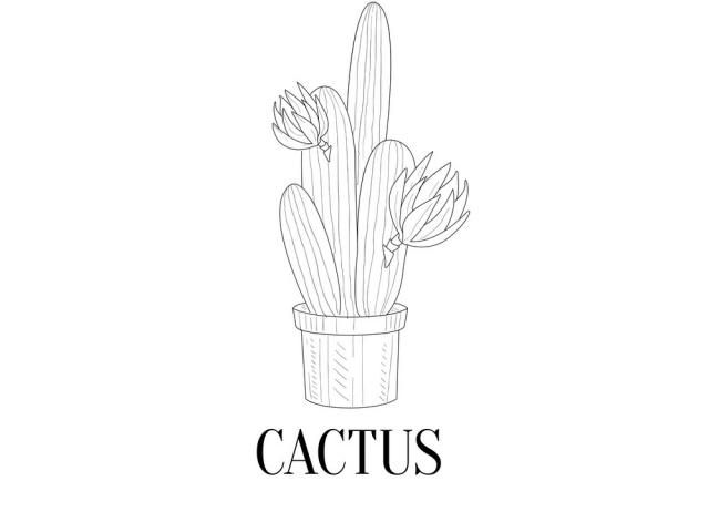 Cactus Line Drawing | Free download on ClipArtMag