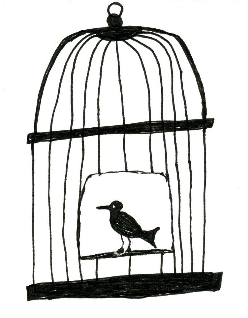 Caged Bird Drawing Free download on ClipArtMag