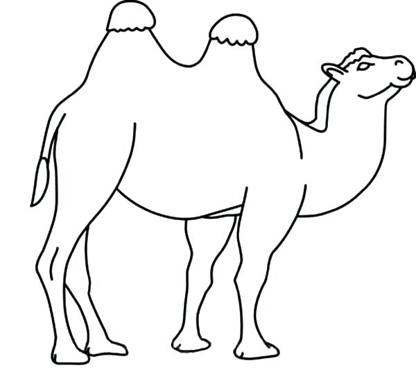 Camel Drawing Outline | Free download on ClipArtMag