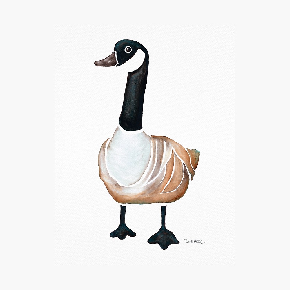 Canada Goose Drawing Free download on ClipArtMag