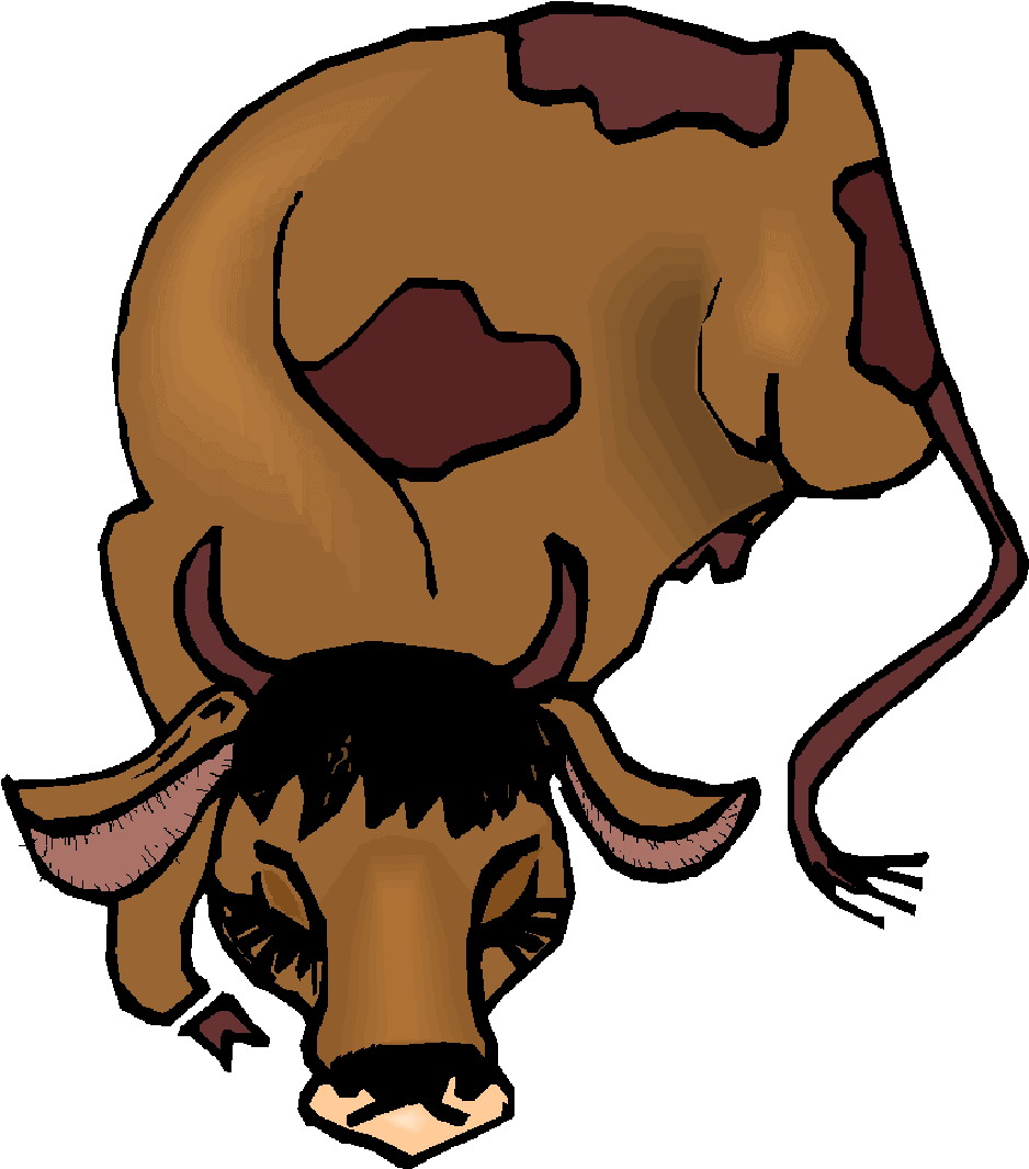 Collection of Cattle clipart | Free download best Cattle clipart on