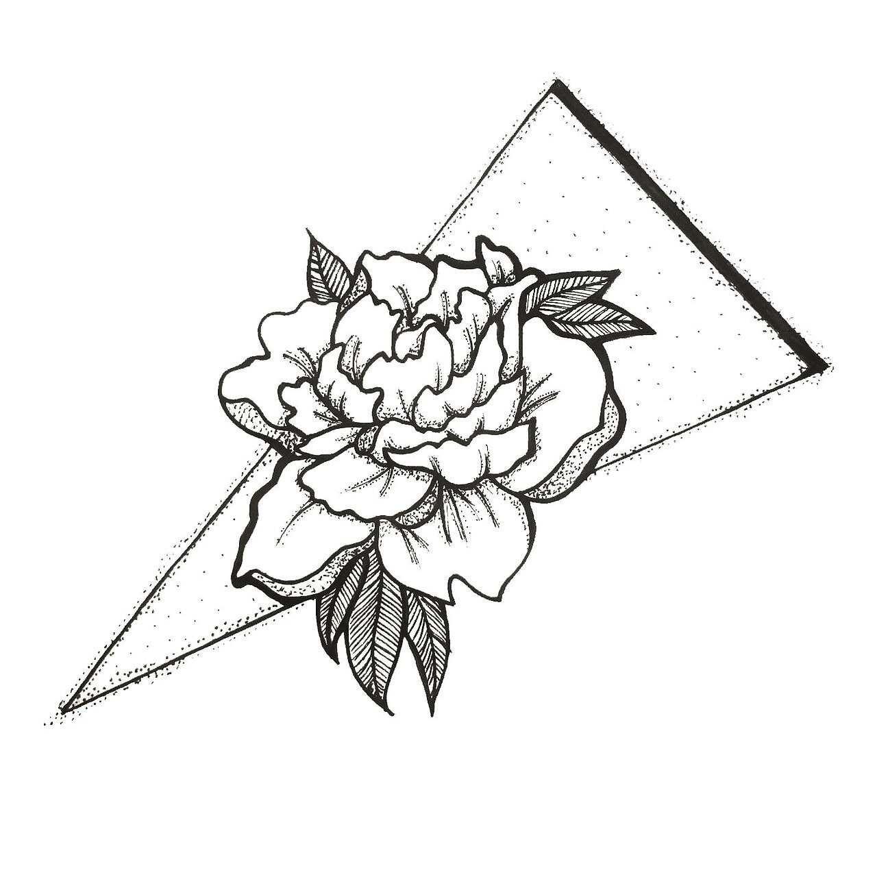 Carnation Flower Drawing | Free download on ClipArtMag