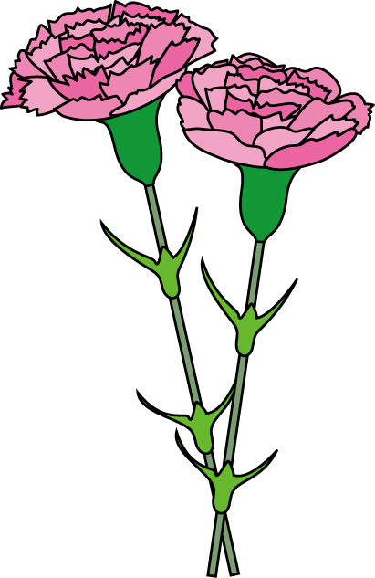 Carnation Line Drawing | Free download on ClipArtMag