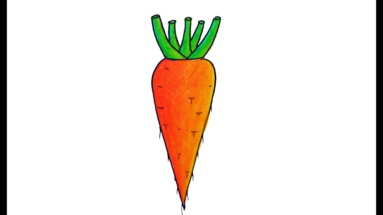  How To Draw A Carrot in the world Check it out now 