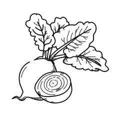 Cauliflower Drawing | Free download on ClipArtMag