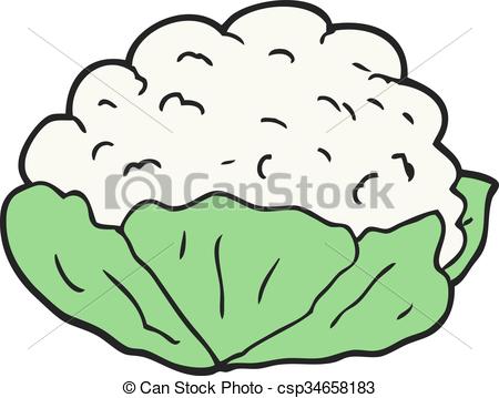 Cauliflower Drawing | Free download on ClipArtMag