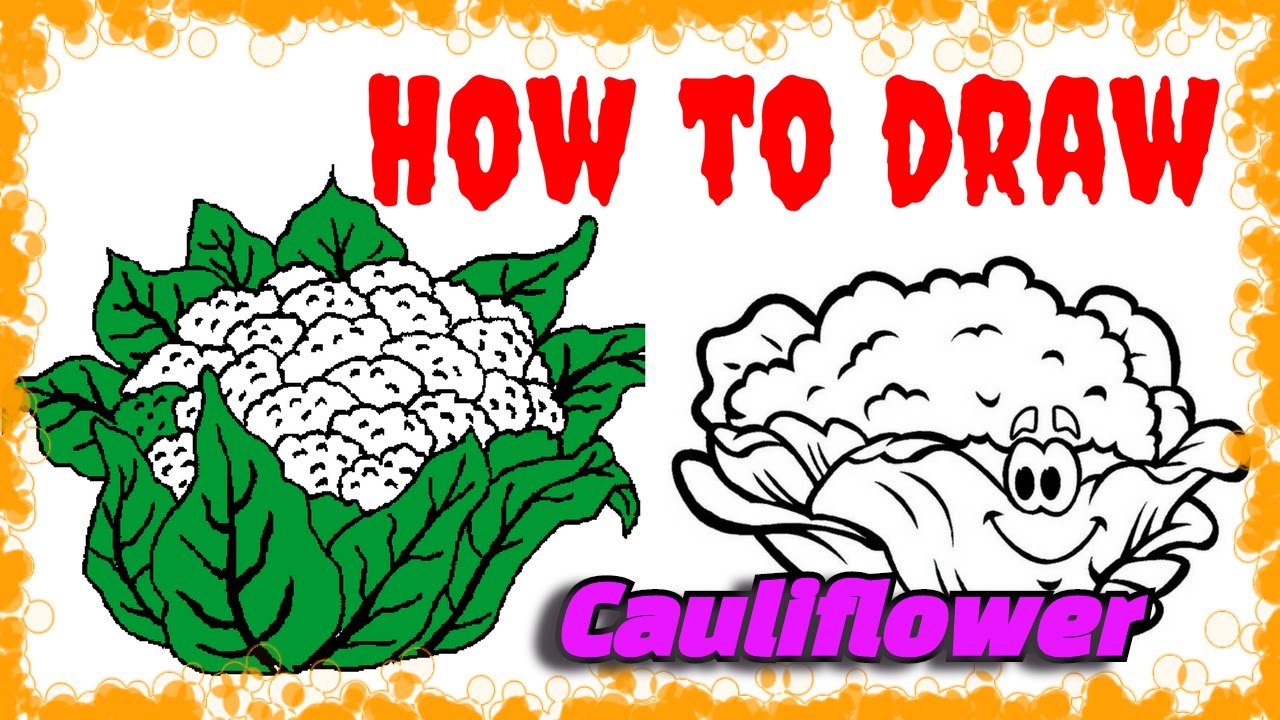 Cauliflower Drawing | Free download on ClipArtMag