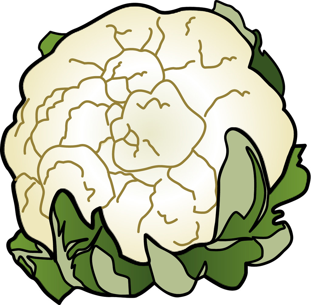 Collection of Cauliflower clipart | Free download best Cauliflower