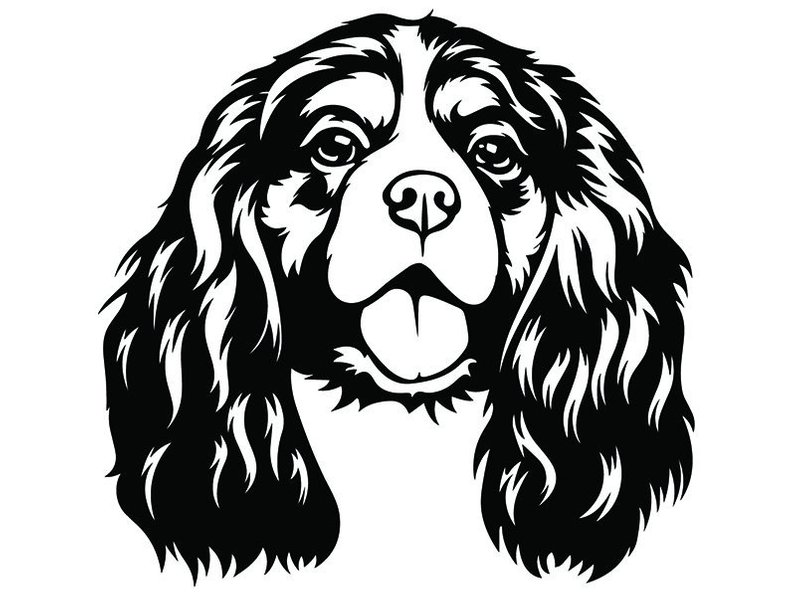 Cavalier King Charles Spaniel Drawing | Free download on ClipArtMag