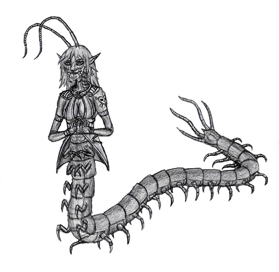 Centipede Drawing | Free download on ClipArtMag
