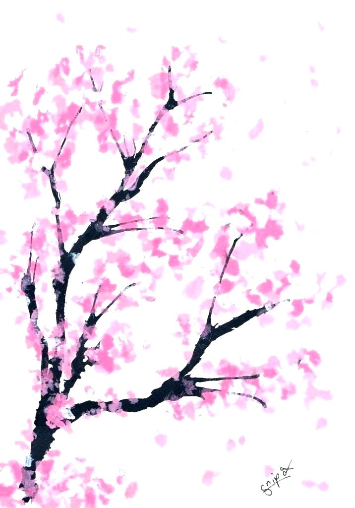 Cherry Blossom Drawing | Free download on ClipArtMag