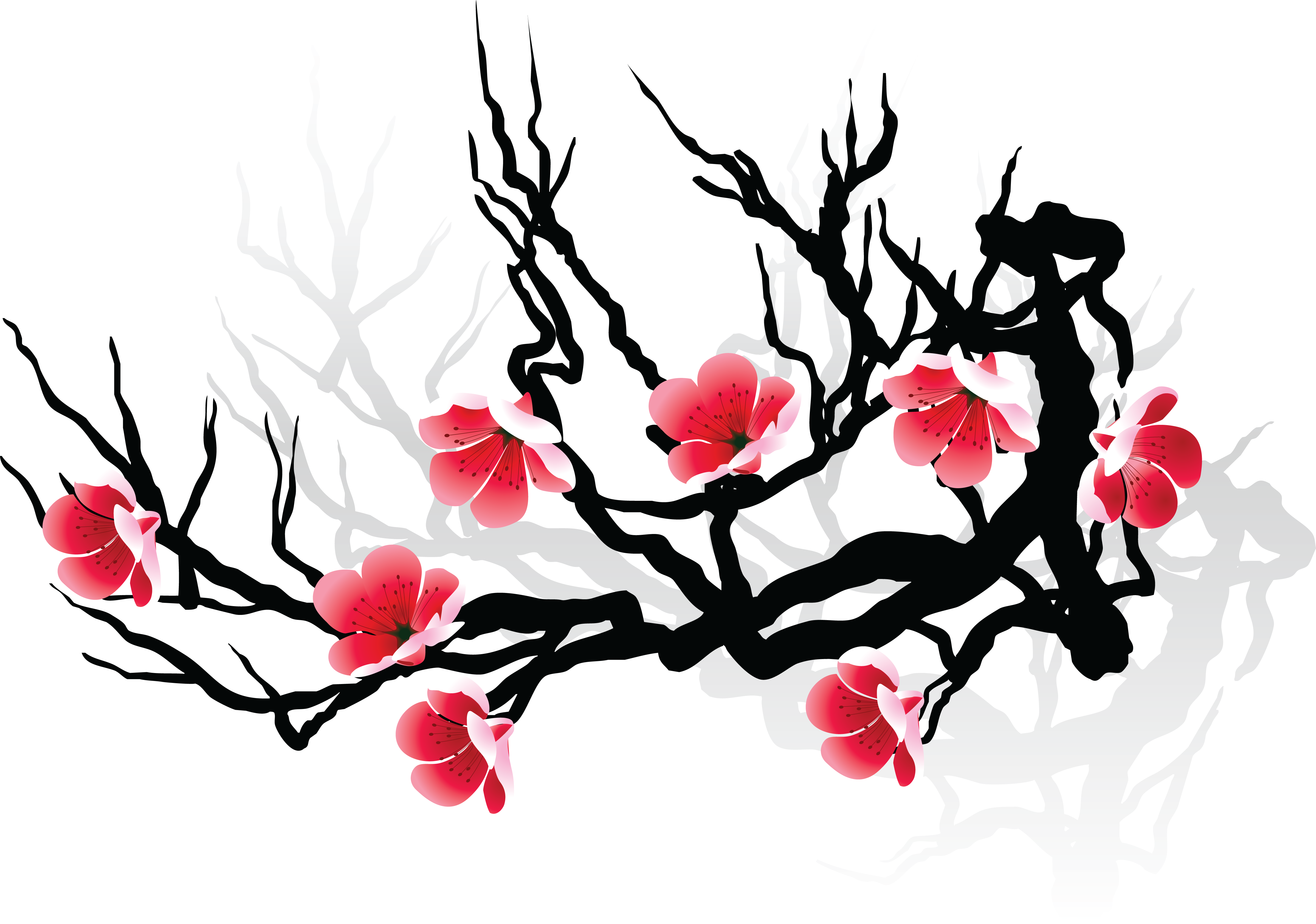 Cherry Blossom Flower Drawing | Free download on ClipArtMag