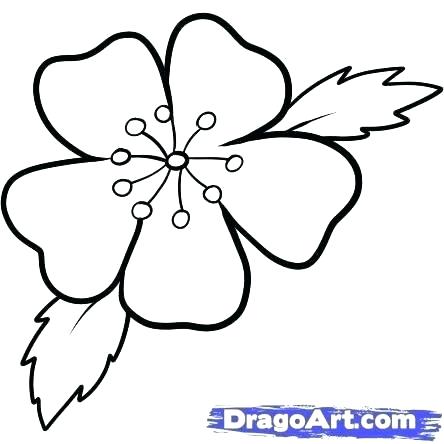 Cherry Blossom Line Drawing | Free download on ClipArtMag