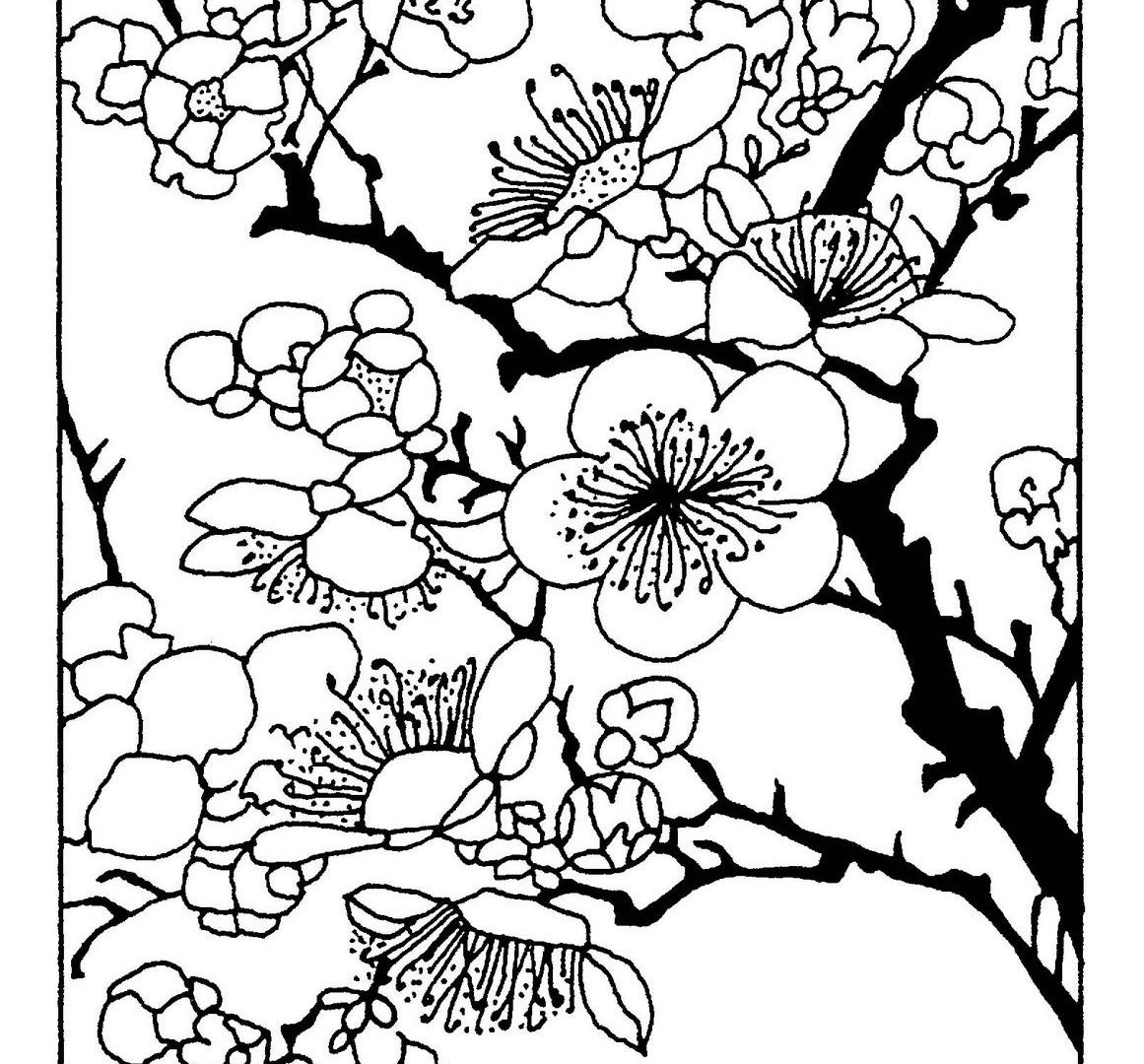 Cherry Blossom Line Drawing | Free download on ClipArtMag