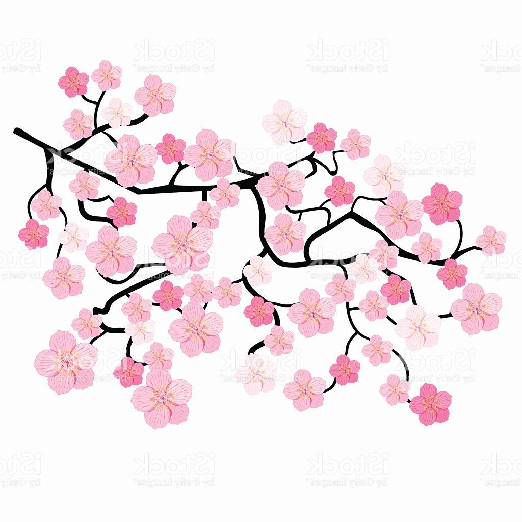 Cherry Blossom Tree Drawing | Free download on ClipArtMag