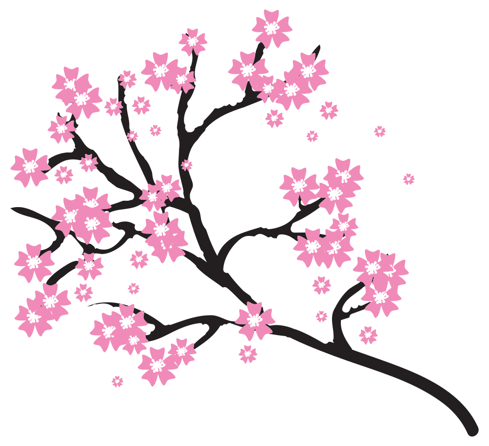 Cherry Blossom Tree Drawing Easy | Free download on ClipArtMag