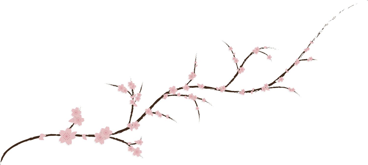 Cherry Blossom Tree Drawing Outline / Cherry Blossom Tree Drawing