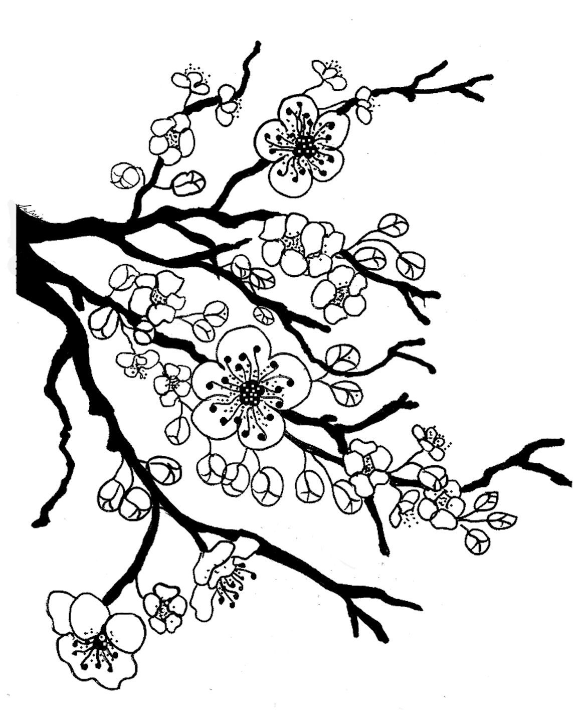 Cherry Blossom Tree Pencil Drawing Free download on ClipArtMag