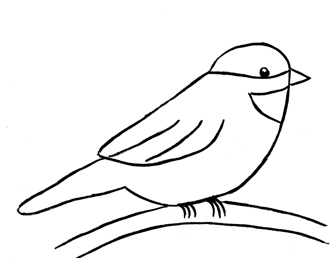 Chickadee Line Drawing Free download on ClipArtMag