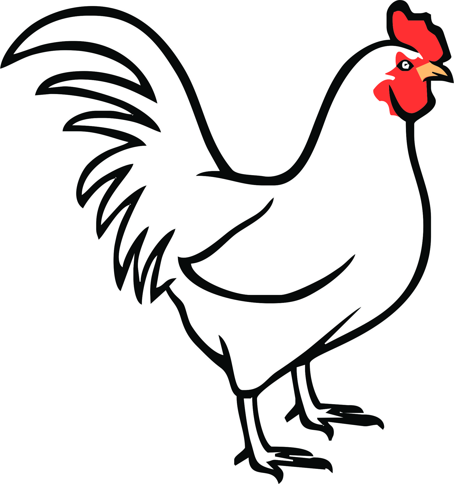 Chicken Line Drawing Free download on ClipArtMag