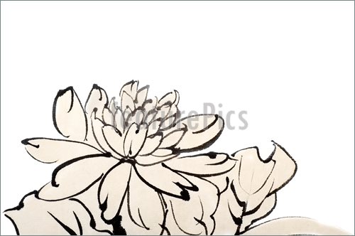 Chinese Flower Drawing | Free download on ClipArtMag