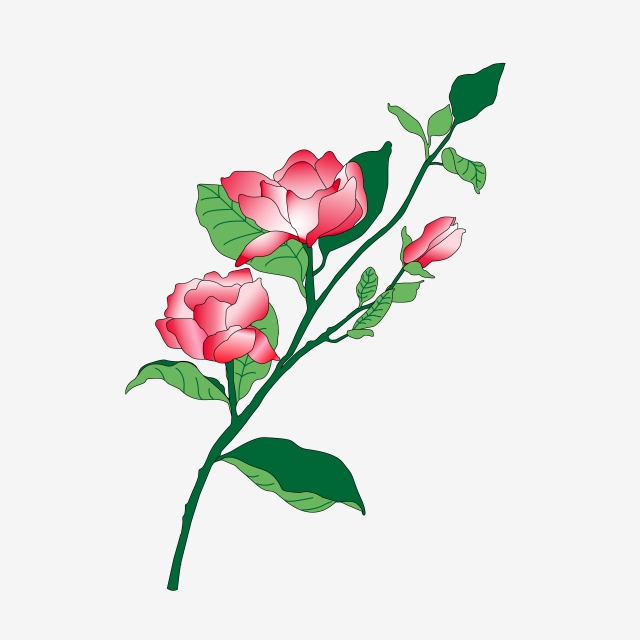Chinese Flower Drawing | Free download on ClipArtMag