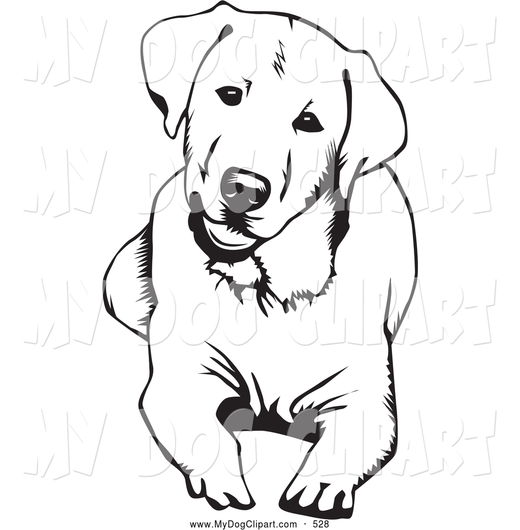 Chocolate Lab Drawing | Free download on ClipArtMag