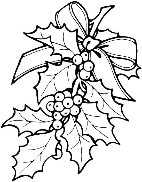 Christmas Flowers Drawing | Free download on ClipArtMag