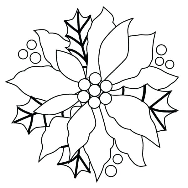 Christmas Flowers Drawing | Free download on ClipArtMag