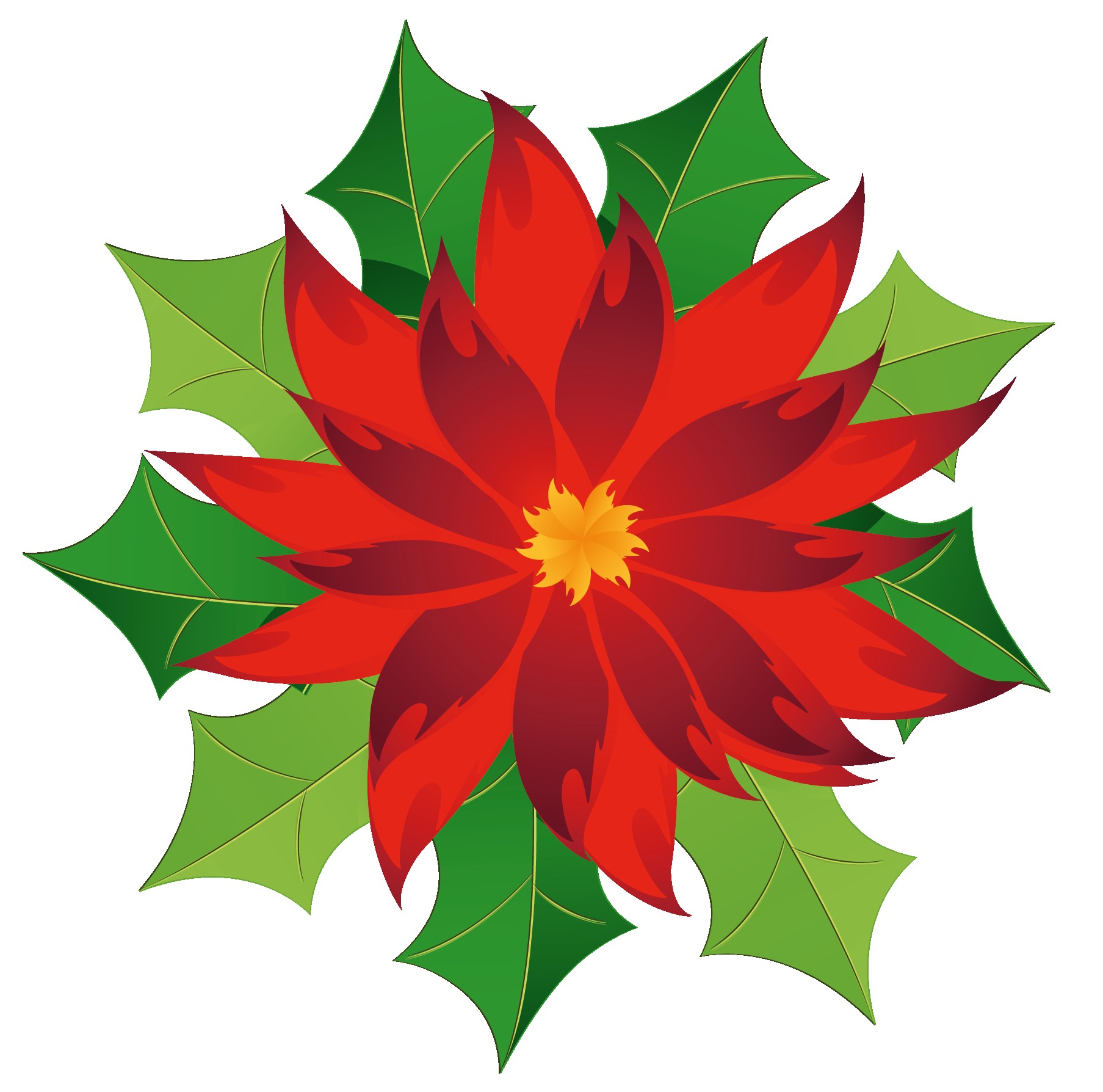 Christmas Poinsettia Drawing Free download on ClipArtMag