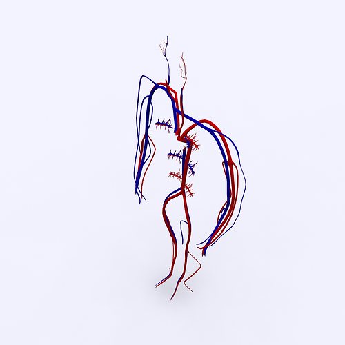 circulatory drawing