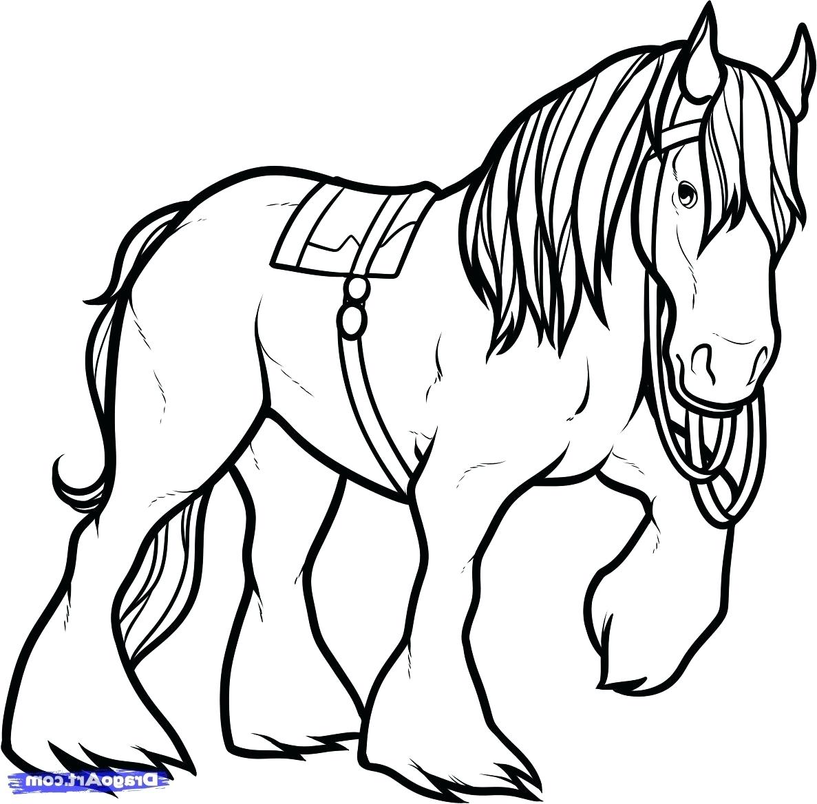 Clydesdale Horse Drawing | Free download on ClipArtMag