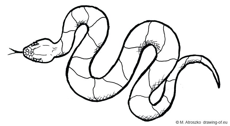 Cobra Snake Head Drawing | Free download on ClipArtMag