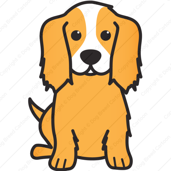 Cocker Spaniel Drawing | Free download on ClipArtMag