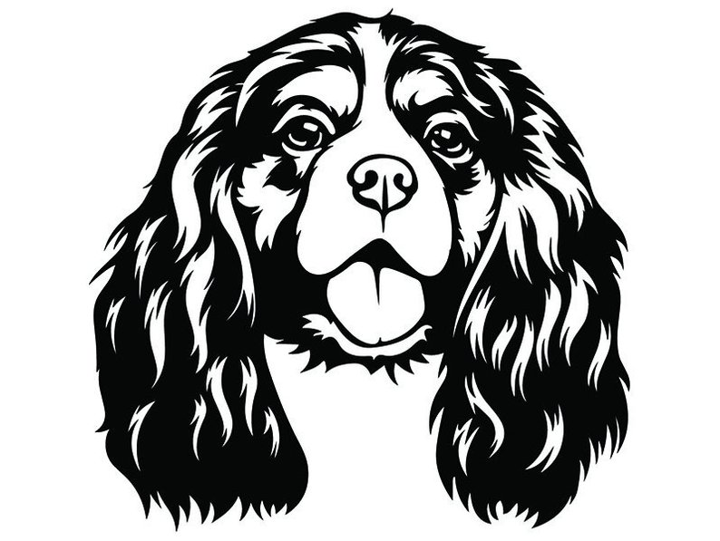 cocker-spaniel-drawing-free-download-on-clipartmag