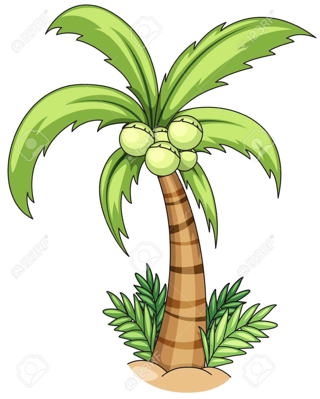 Coconut Tree Pictures Drawing Free download on ClipArtMag