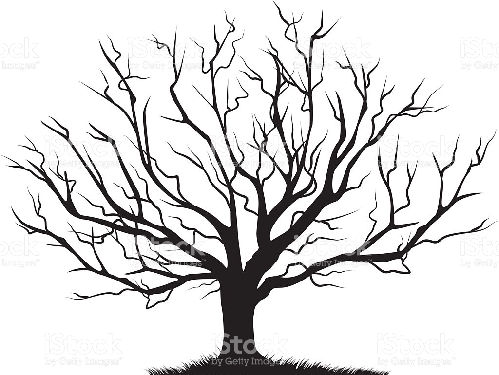 Cool Tree Drawings Free download on ClipArtMag