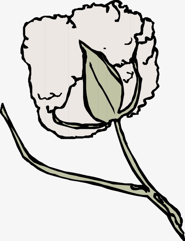 Cotton Plant Drawing | Free download on ClipArtMag