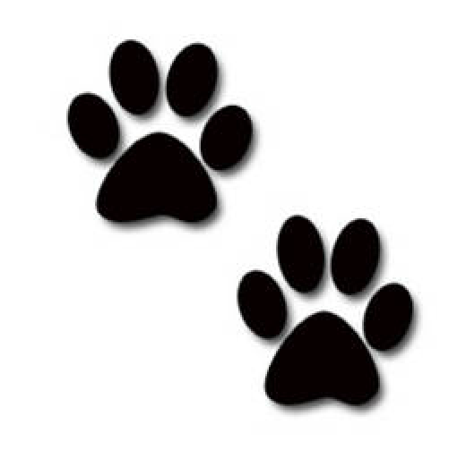 381 Simple Cougar Paw Print Coloring Pages with Animal character