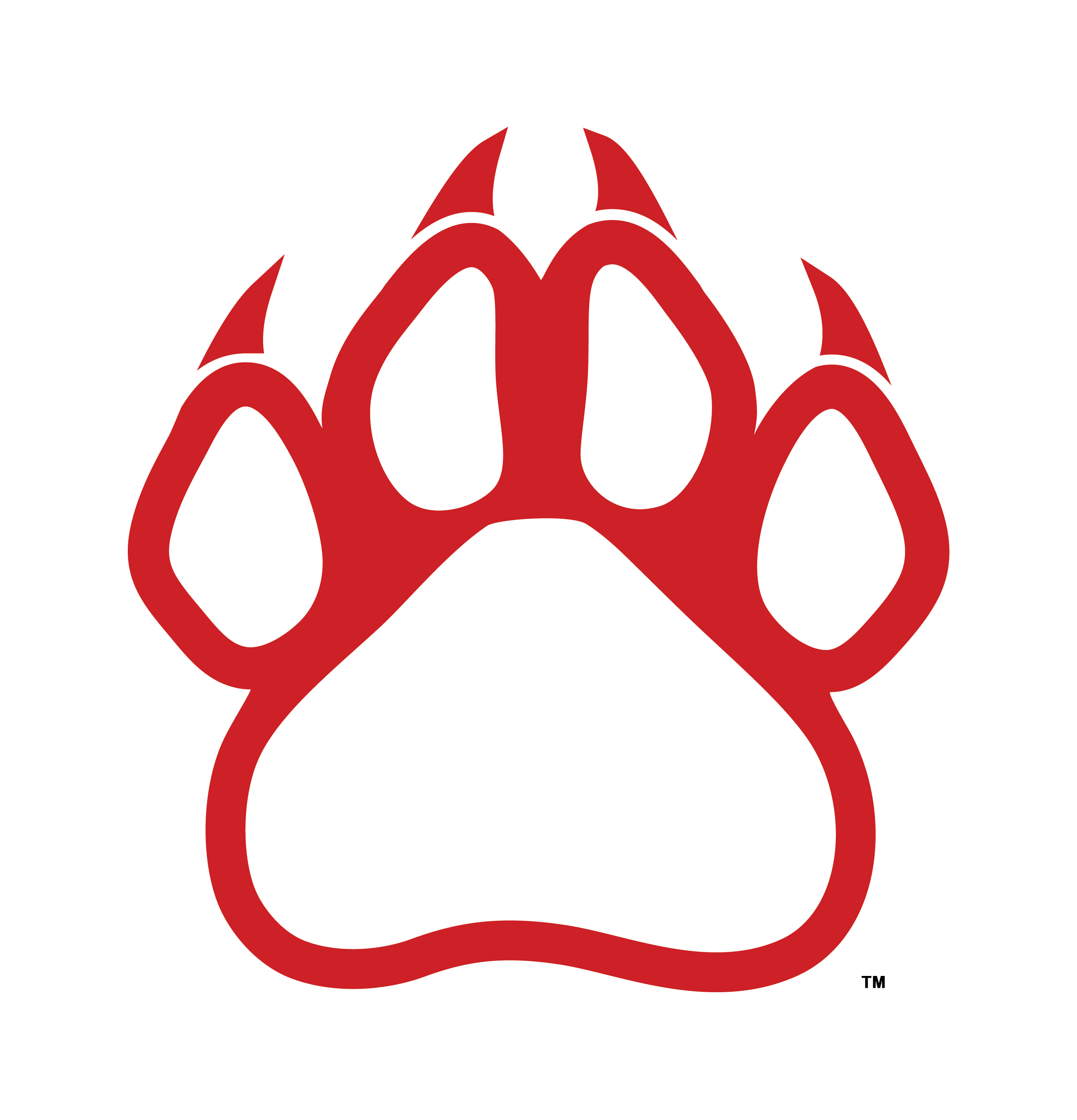 Cougar Paw Drawing Free download on ClipArtMag