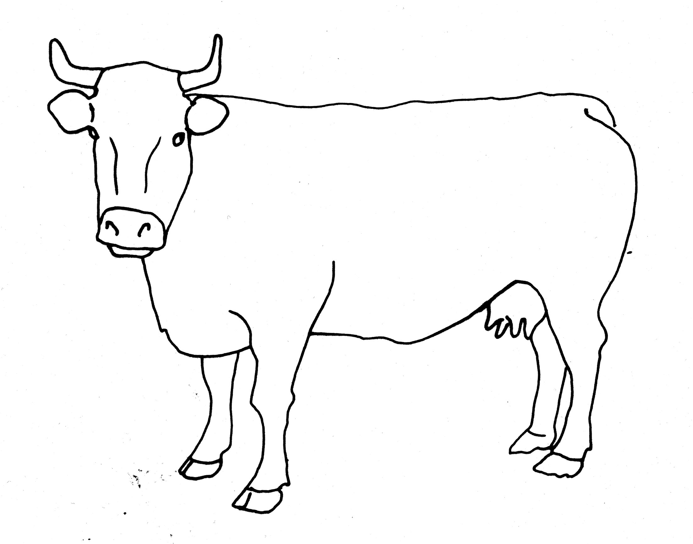 Cow Line Drawing | Free download on ClipArtMag