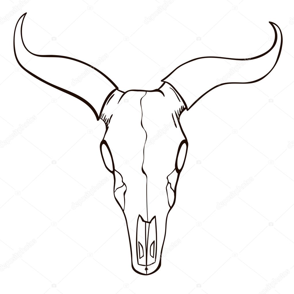 Cow Skull Coloring Pages