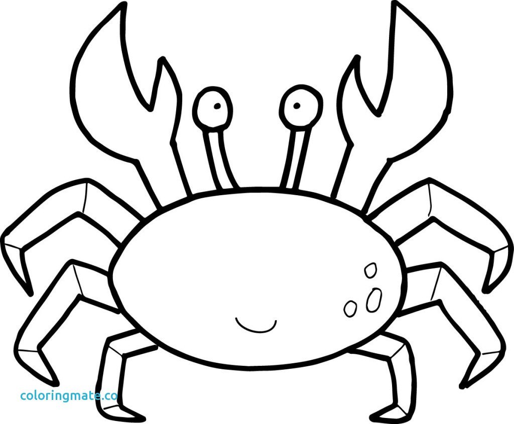 crab-claw-drawing-free-download-on-clipartmag