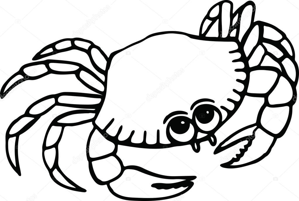 Crab Outline Drawing Free download on ClipArtMag