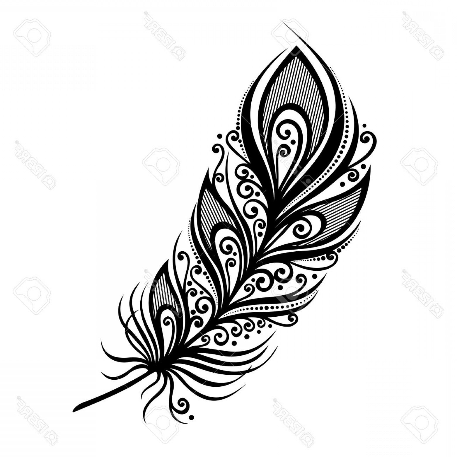 Download Curved Feather Drawing | Free download on ClipArtMag