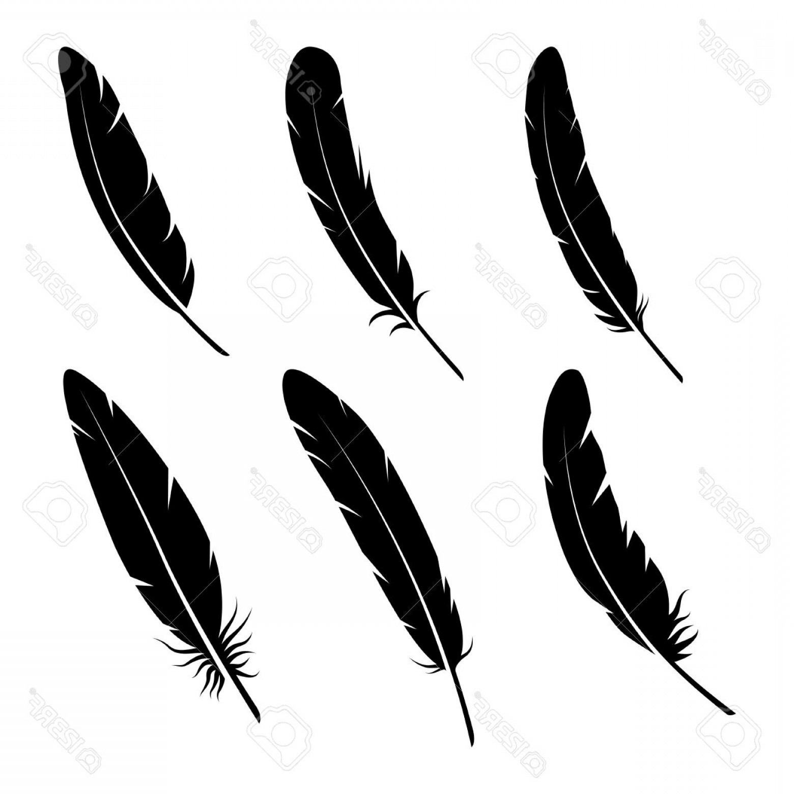 Download Curved Feather Drawing | Free download on ClipArtMag